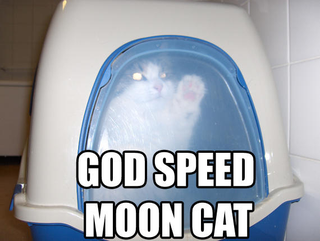 I couldn’t resist.